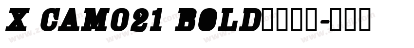 X CAM021 Bold字体下载字体转换